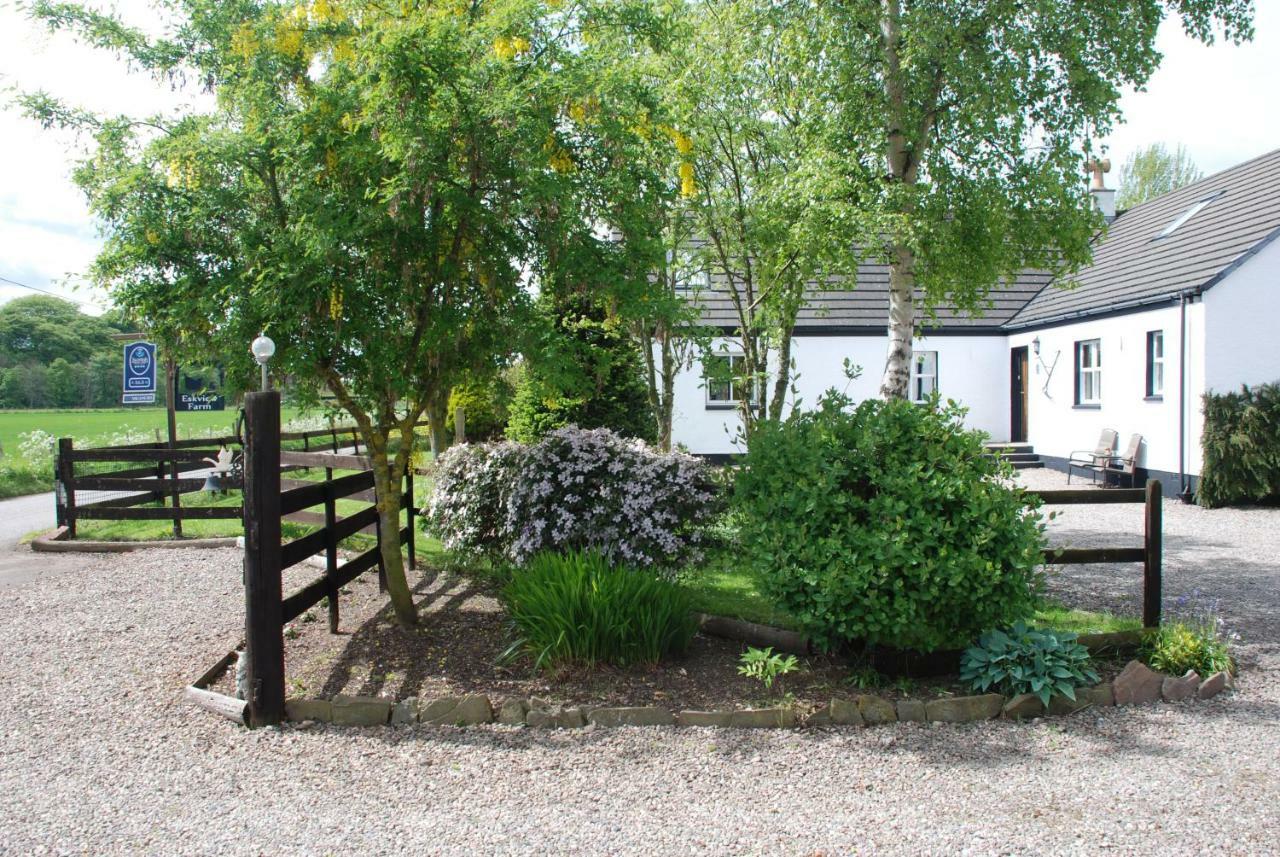 Bed and Breakfast Eskview Farm Montrose Exteriér fotografie